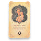 Catholically Holy Card Relic Card of St. Anthony of Padua - Touched to Tongue Relic