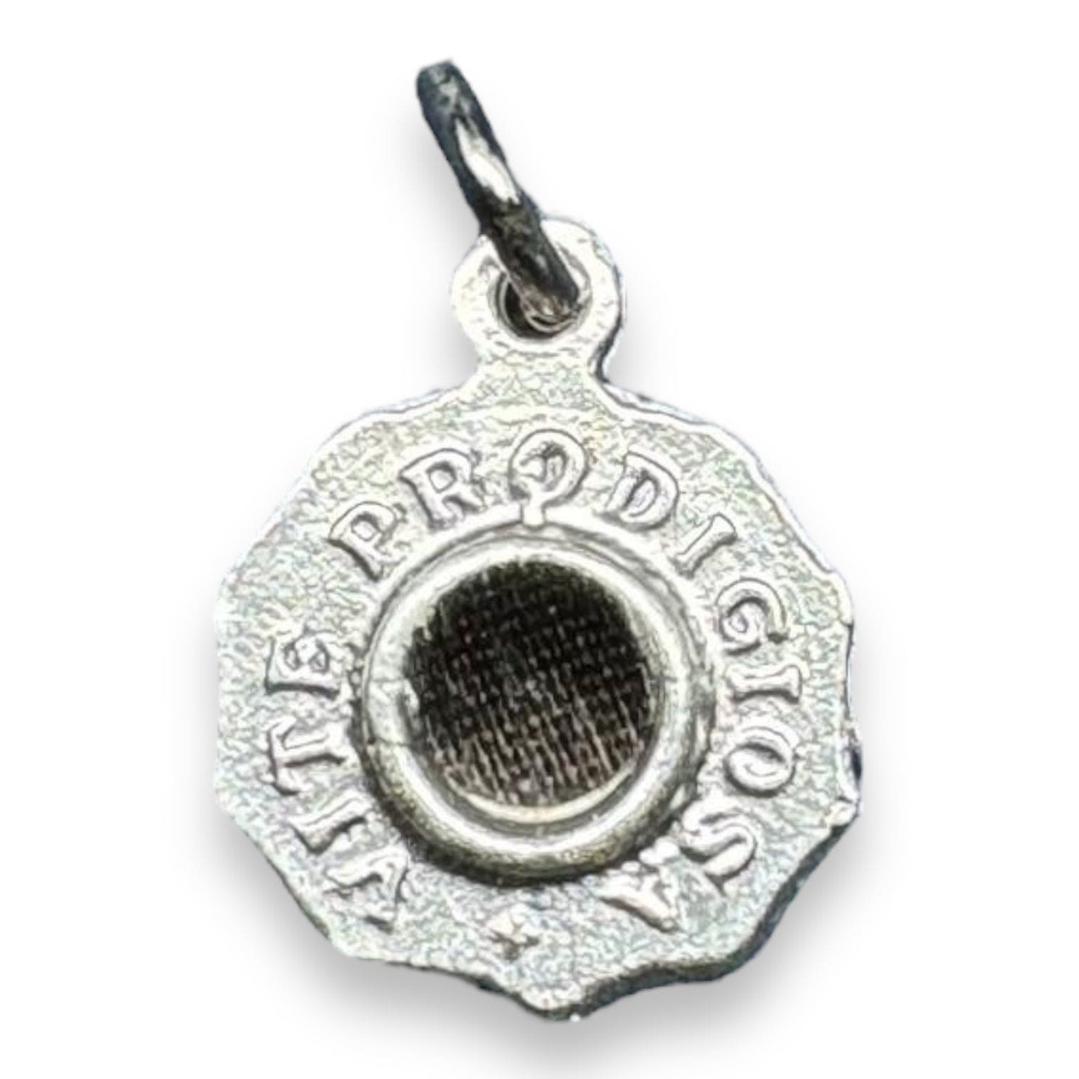 Catholically Patron Saint Medal St Rita Miraculous Vine Relic Medal – Silver tone pendant with Reliquary